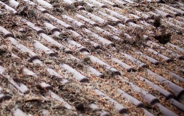 Anwoth roof cleaning companies